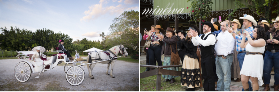 06_The-Davie-Ranch_Davie_Wedding_Engagement_Portrait_Photography_Miami-Keys_Naples_South-Florida_Dade_Broward_Palm-Beach_Photographer
